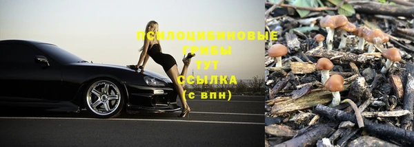 каннабис Алзамай