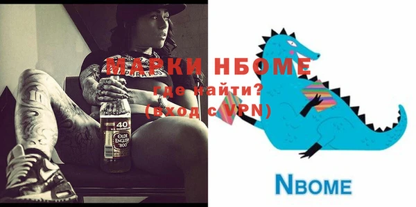 индика Алексин