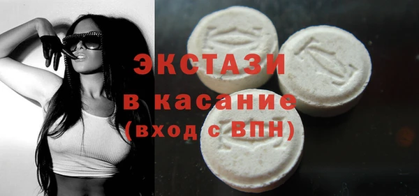 индика Алексин