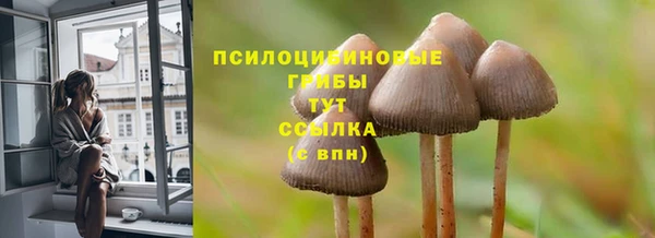 каннабис Алзамай