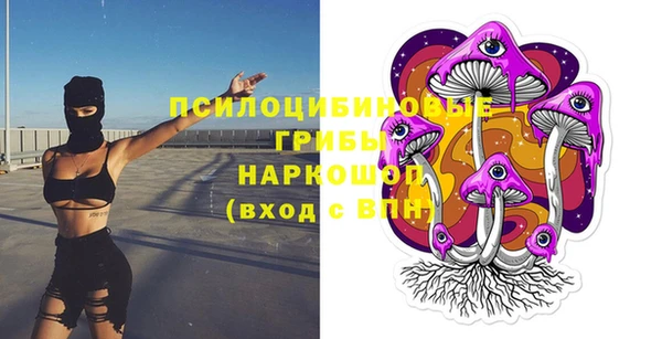 индика Алексин