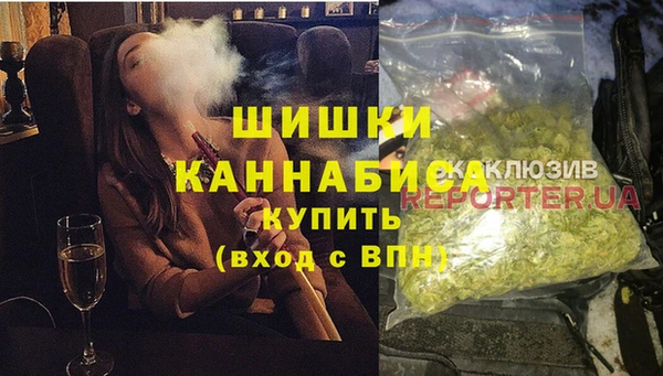 индика Алексин