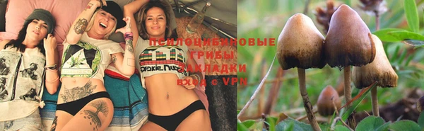 COCAINE Алексеевка