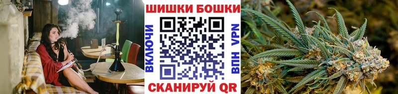 Канабис сатива  Орлов 